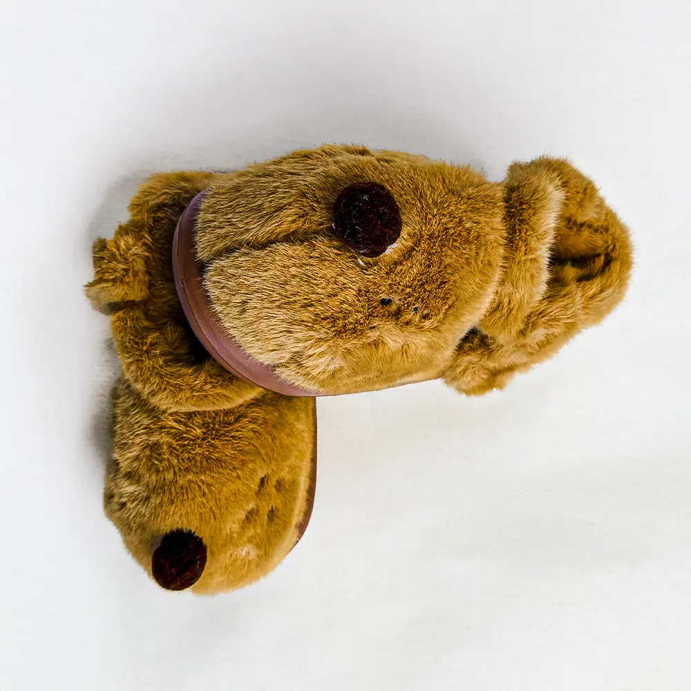 Light Brown Doggo 2.webp