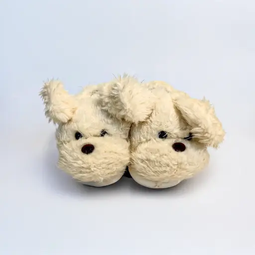 Kute Koala